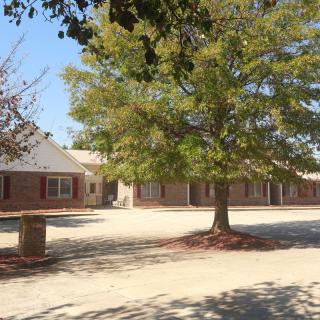 A sunny outdoor view of a brick building and a large tree.