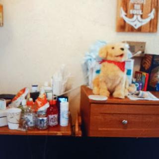 A cozy display featuring a stuffed dog on a wooden table surrounded by various items.