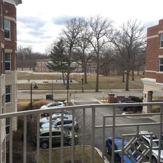 A view from a balcony overlooking parked cars and trees on a cloudy day.