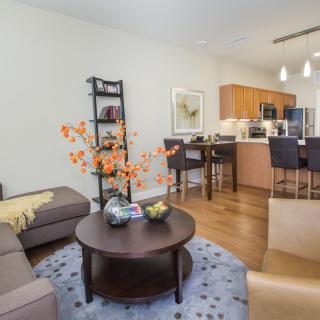 A modern open-plan living space featuring a cozy seating area and a kitchen with bar stools.
