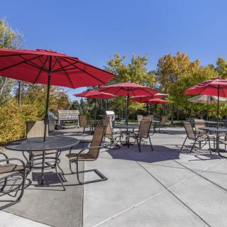 A sunny outdoor patio with red umbrellas covering tables and chairs, surrounded by trees.
