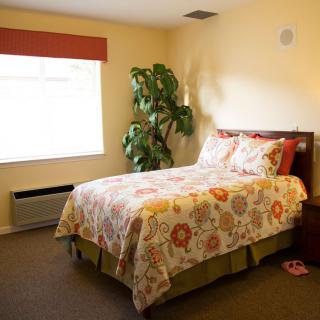 A cozy bedroom with a floral-patterned bedspread, a large window, and a potted plant in the corner.