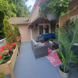 A cozy patio with outdoor furniture and vibrant plants.