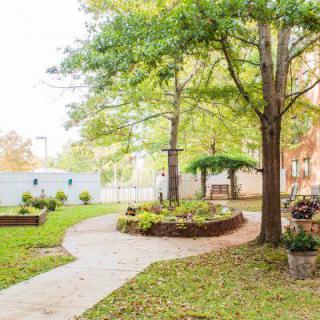 A peaceful garden scene with a winding pathway surrounded by trees and greenery.