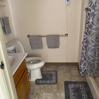 A tidy bathroom with a toilet, sink, and patterned shower curtain.