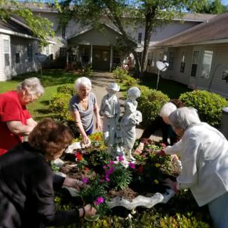 A group of seniors gardening together in a communal outdoor space.