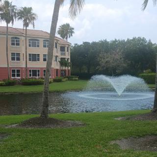 A peaceful scene featuring a fountain in a pond surrounded by palm trees and an apartment building.