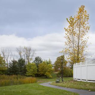 A serene park scene featuring a winding pathway surrounded by trees in autumn colors under a cloudy sky.