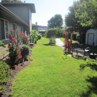 A peaceful garden scene with a well-maintained lawn, vibrant flowers, and a pathway leading through the tranquil space.