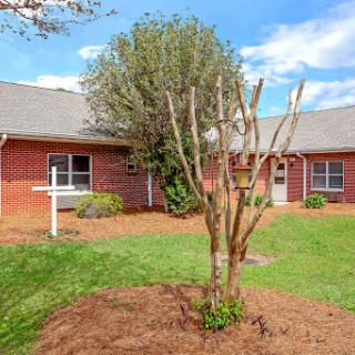 A charming single-story house surrounded by well-maintained landscaping and a clear blue sky.