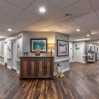 A welcoming reception area with artwork and a hardwood floor.