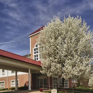 A tree in full bloom stands next to a brick building under a clear blue sky.