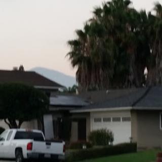 A quiet suburban neighborhood featuring a house surrounded by palm trees.