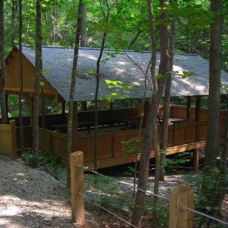 A wooden cabin nestled in a serene forest setting.