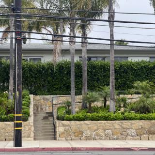 A landscaped urban scene featuring palm trees, a stone wall, and stairs.