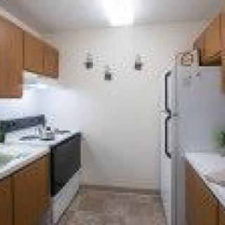 A compact and minimalist apartment kitchen with wooden cabinets, a fridge, and a stove.