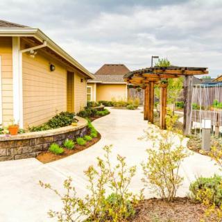 A well-maintained residential garden with a pathway and modern landscaping.