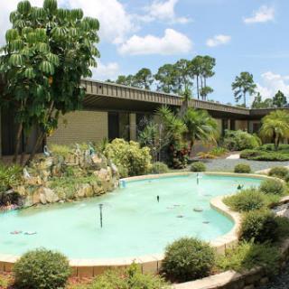 A serene outdoor space featuring a small pool surrounded by lush greenery and a modern building.