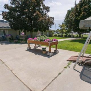 A sunny outdoor garden area with a table filled with plants, surrounded by trees and a well-kept lawn.