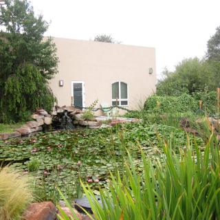A serene garden with a pond surrounded by lush vegetation and a house in the background.