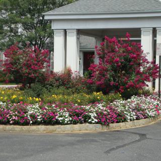 Beautifully landscaped garden with colorful flowers and shrubs in front of a building.