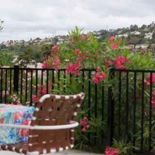 A patio with a view of a hillside, featuring blooming flowers and a comfortable chair.