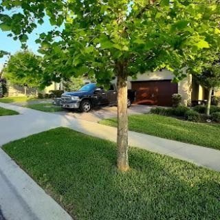 A suburban street scene featuring a tree-lined sidewalk, neatly maintained lawns, and a parked truck in a driveway.