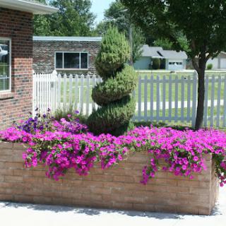 A beautifully arranged flower planter showcasing vibrant pink blooms and a decorative topiary.