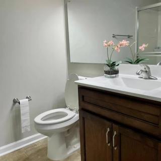 A clean and modern bathroom with a toilet, sink, and decorative plants.