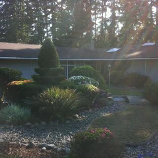 A beautifully landscaped garden with various shrubs and trees in front of a house, highlighted by gentle sunlight.