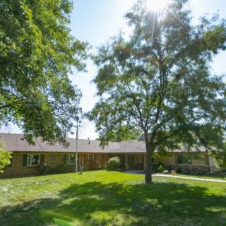 A sunny day view of a house with a large tree and well-maintained lawn.