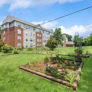 A well-maintained garden in front of a modern apartment building.