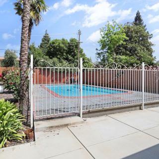 A fenced outdoor swimming pool with a palm tree and clear skies.