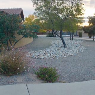 A serene desert landscape with trees and rocks near a driveway at sunset.
