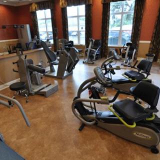 A well-equipped gym with various exercise machines and a warm ambiance.