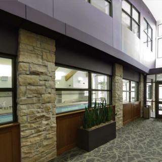 A modern building interior with stone walls, large windows, and potted plants in a corridor.