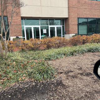 A view of the entrance to a commercial building surrounded by landscaped greenery.