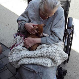 An elderly woman in a wheelchair lovingly holds a small dog, showcasing the bond between humans and their furry companions.