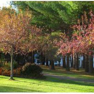 A scenic view of a park with colorful autumn foliage and a winding pathway.