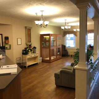 A cozy and welcoming reception area featuring comfortable seating, a reception desk, and decorative elements.