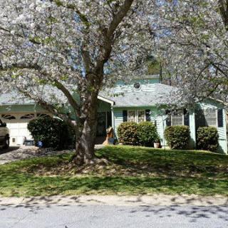 A quaint house surrounded by blooming trees on a sunny day.