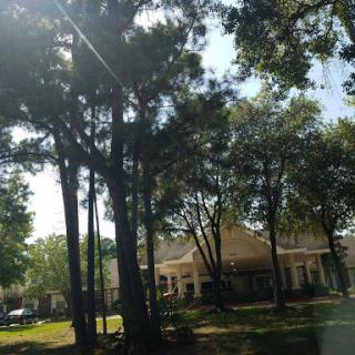 A sunny day with trees framing a charming building.