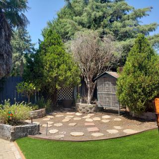 A well-maintained garden with a stone pathway and a small shed surrounded by trees.