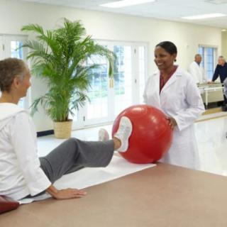 A therapist assists a patient with exercises using a therapy ball in a rehabilitation setting.