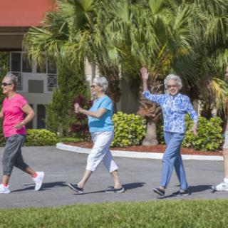 A group of seniors enjoying a morning walk together in a lively community setting.