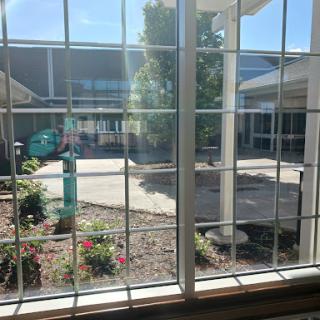 A bright view of a courtyard through a window, showcasing greenery and buildings.