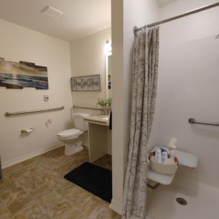 An accessible bathroom with a shower, toilet, and grab bars for support.