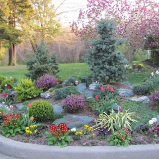 A beautifully landscaped garden with colorful flowers and lush greenery.
