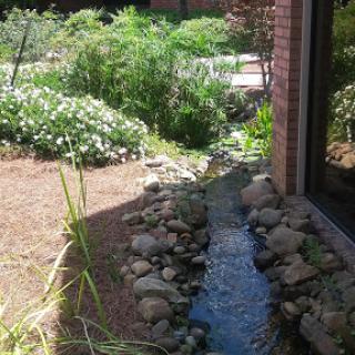 A serene garden featuring a flowing stream bordered by rocks and surrounded by lush greenery.