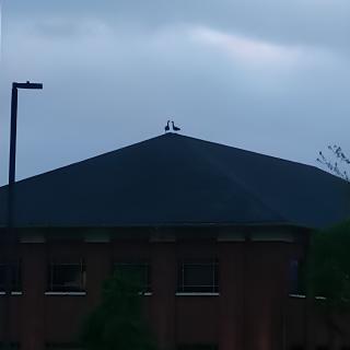 Silhouette of a building under a cloudy sky with two figures on the roof.